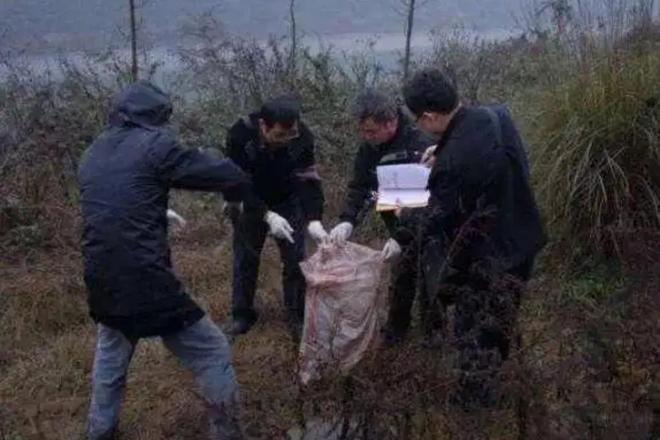 ·25”连环杀人碎尸案侦破始末接连离奇失踪2004年沈阳“3(图14)
