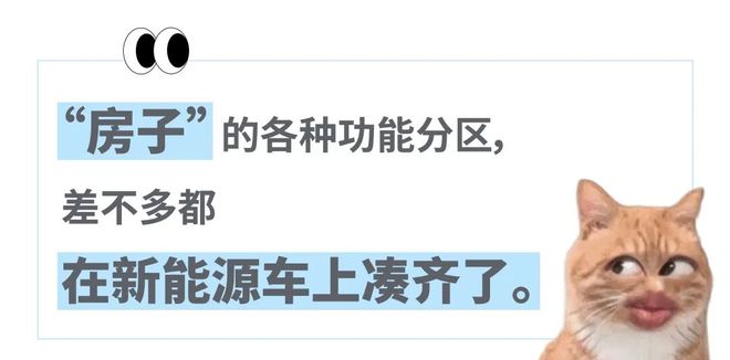 看傻“坐新能源车越来越像钻别人家被窝了”蔚来们往车里装衣帽间、厨房和厕所把中产(图2)